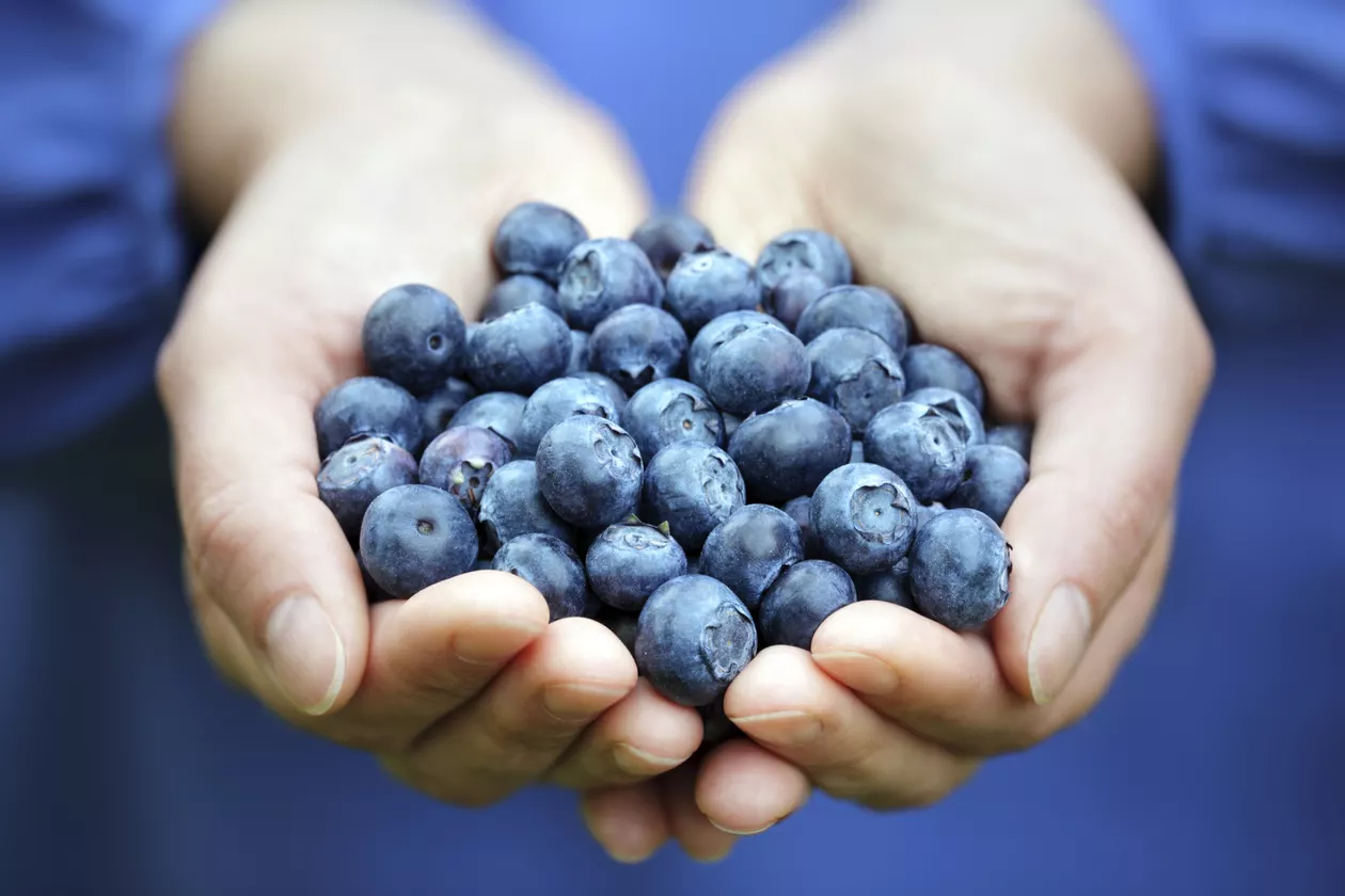 blueberries benefits and side effects