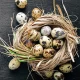 disadvantages of eating quail eggs