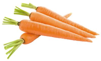 10 benefits of carrot