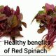 red spinach benefits