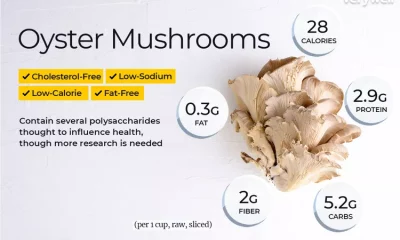 benefits of oyster mushroom