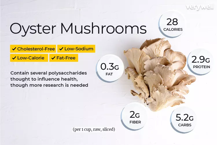 benefits of oyster mushroom