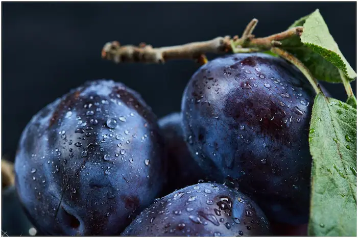 plum benefits and side effects