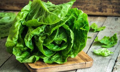 benefits of romaine lettuce