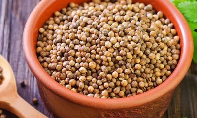 coriander seeds benefits and side effects