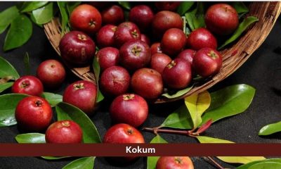 kokum juice side effects