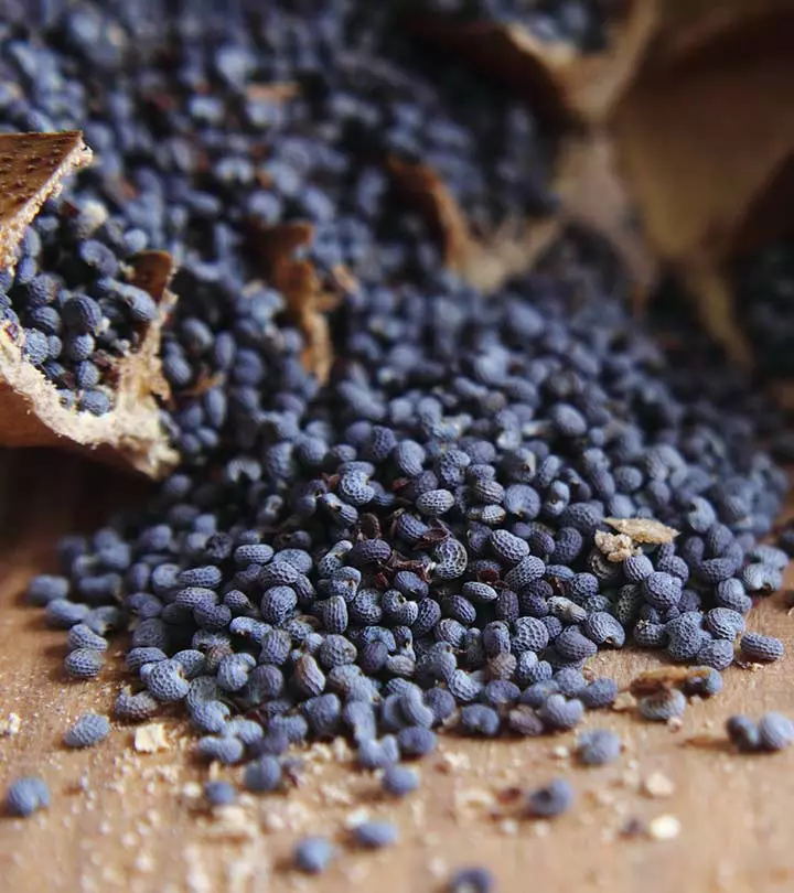 poppy seeds benefits side effects