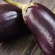eggplant benefits and side effects