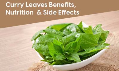 side effects of eating raw curry leaves