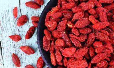 contraindications and the use of goji berries in madapril