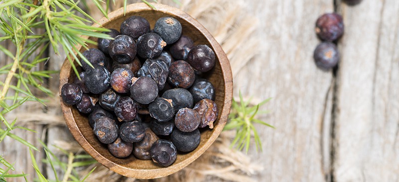 juniper berries benefits
