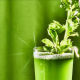 celery benefits and side effects