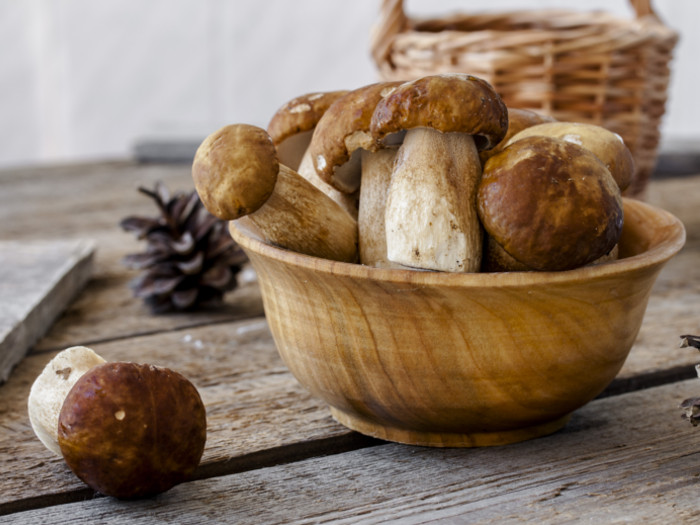 porcini mushroom benefits