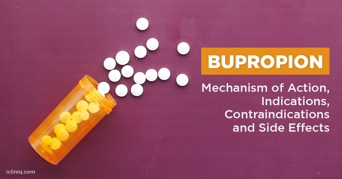 bupropion contraindications