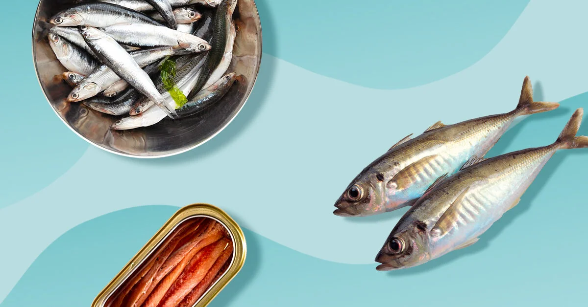 benefits of sardines