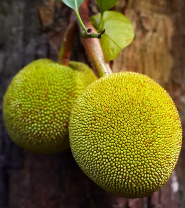 benefits of breadfruit leaf