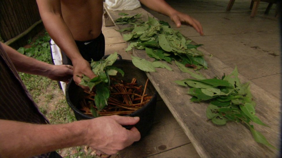 ayahuasca health benefits