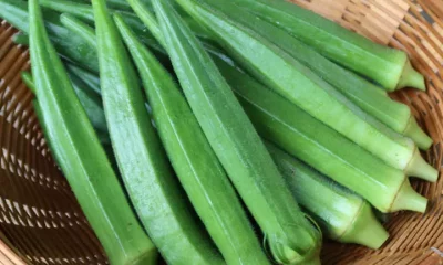 okra health benefits and side effects