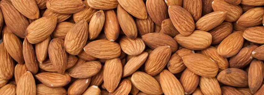 almond benefits and side effects