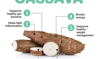 cassava benefits and side effects