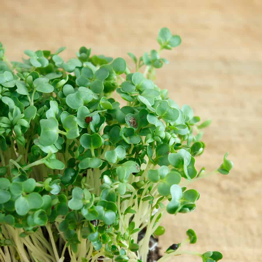 is cress good for you