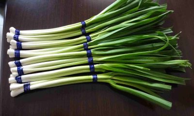 garlic leaves benefits