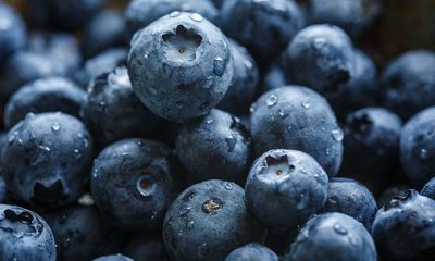 benefits of blueberries for hair
