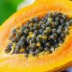 papaya seeds benefits for skin