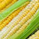 corn benefits and side effects
