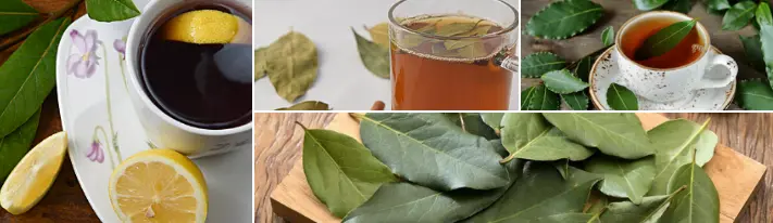 cinnamon and bay leaf tea benefits