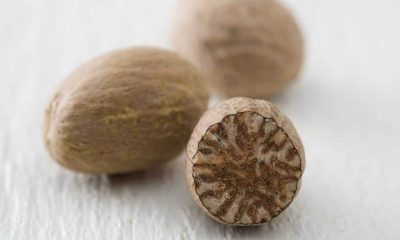 nutmeg benefits and side effects
