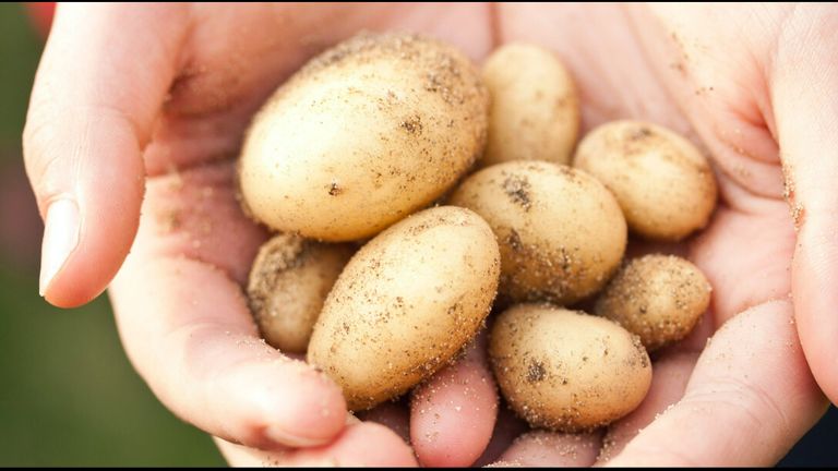 benefits of potatoes on skin