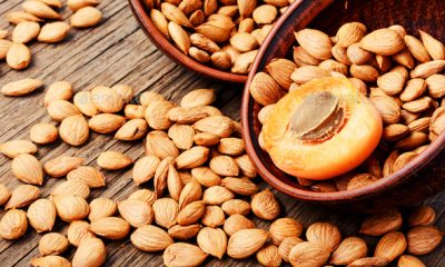 side effects of apricot seeds