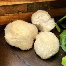 lion's mane spiritual benefits